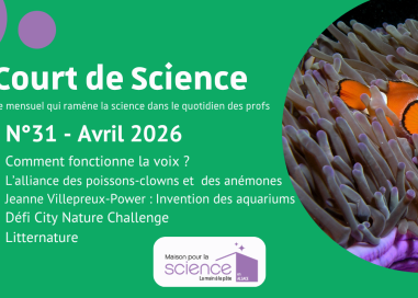 Court de science n°31
