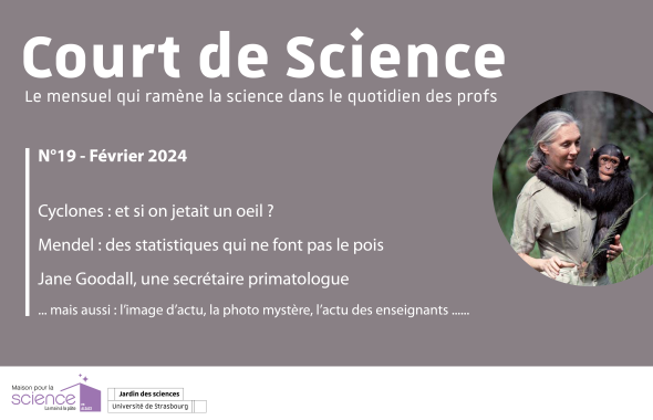 CDS 19
