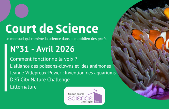 Court de science n°31