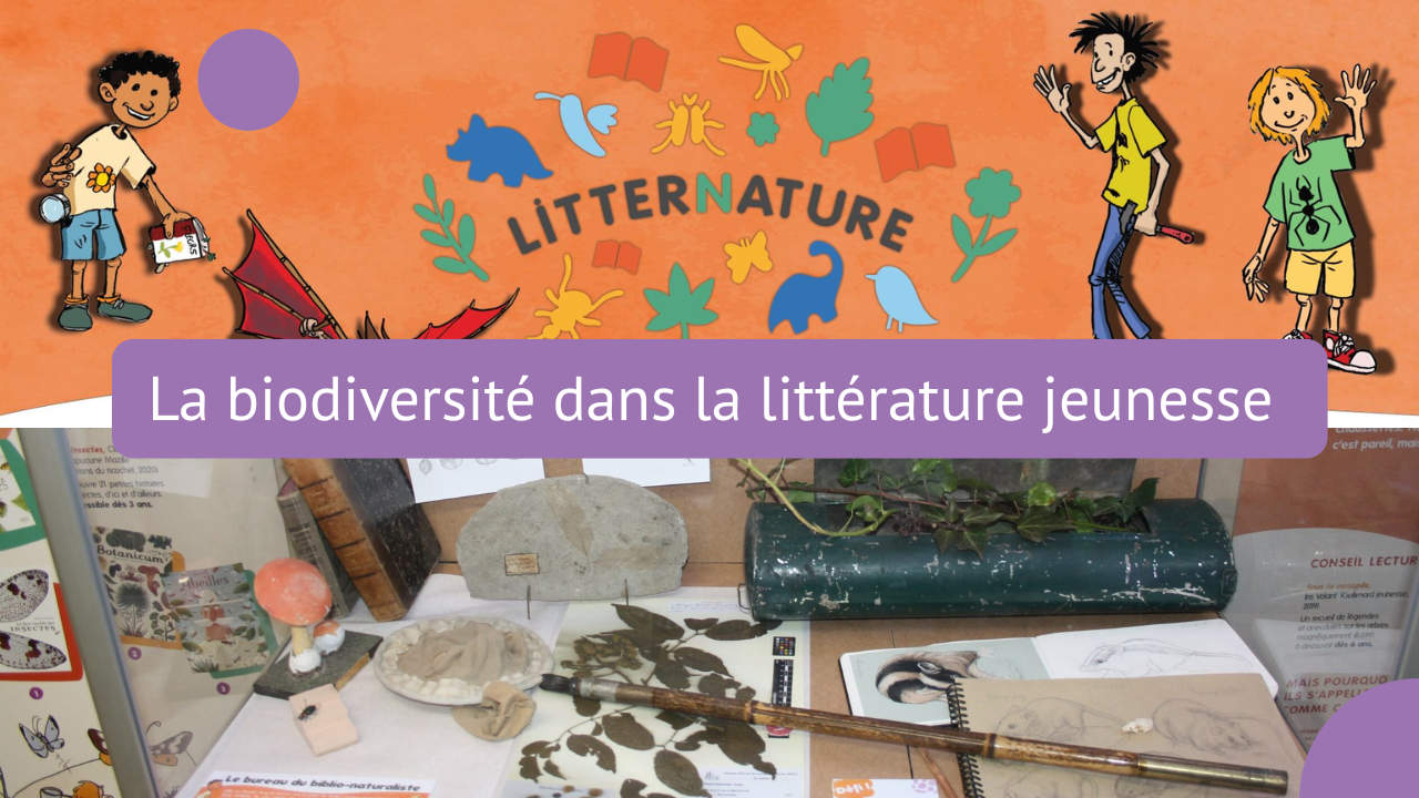 Litternature inventorier la biodiversité dans la littérature jeunesse